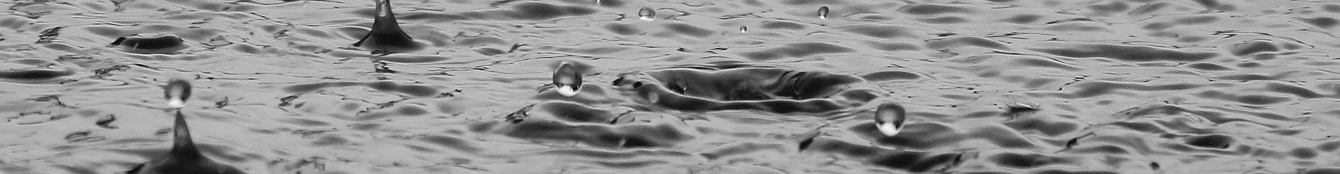 Finding your own echo